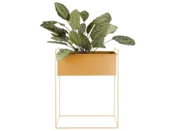 Present time - Plant pot set Essence straight iron ochre yellow