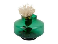 Present time - Vase Pasmoso green