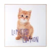 Present time - Wall art kitten Limited Edition purple