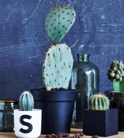 Sej Design - Multi kvadratisk - 8x8x8 cm