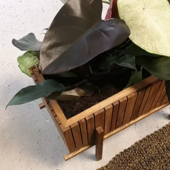 SQUARELY COPENHAGEN - Plantekasse - GrowWIDE - Mørk Eg - 60 x 22 x 24