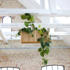 SQUARELY COPENHAGEN - Plantekasse - GrowWIDE - Ask Natur