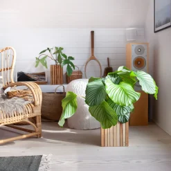 SQUARELY COPENHAGEN - Plantekasse - GrowON - Ask Natur