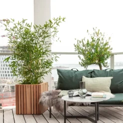 SQUARELY COPENHAGEN - Plantekasse - GrowBIG - Mørk Eg