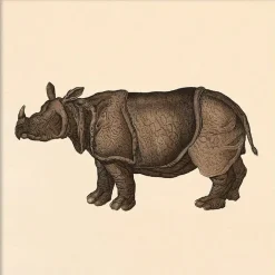 The Dybdahl - Plakat - Rhino, Mini Print - 15x15 cm