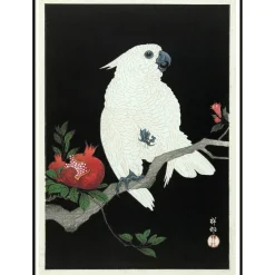 The Dybdahl - Plakat 50x70 cm. - Cockatoo & Pomegranate - Papir
