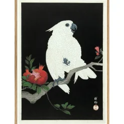 The Dybdahl - Plakat 30x40 cm. - Cockatoo & Pomegranate - Papir