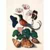 The Dybdahl - Plakat 50x70 cm - Hummingbird, Butterflies & Flowers - Papir