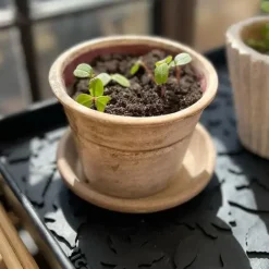 Tica Copenhagen - Skobakke - Footwear - Small