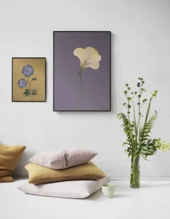 VISSEVASSE - Geranium plakat, amber - 50x70 cm