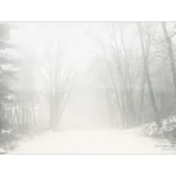 VISSEVASSE - Peregrination plakat 50 x 70 cm