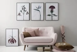 VISSEVASSE plakat - Botanica Gloriosa Superba 50x70